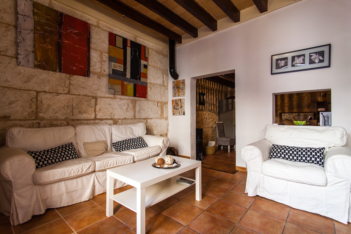 etv2 enrique serra 3