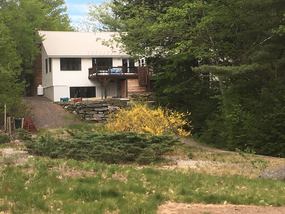 back yard, deck