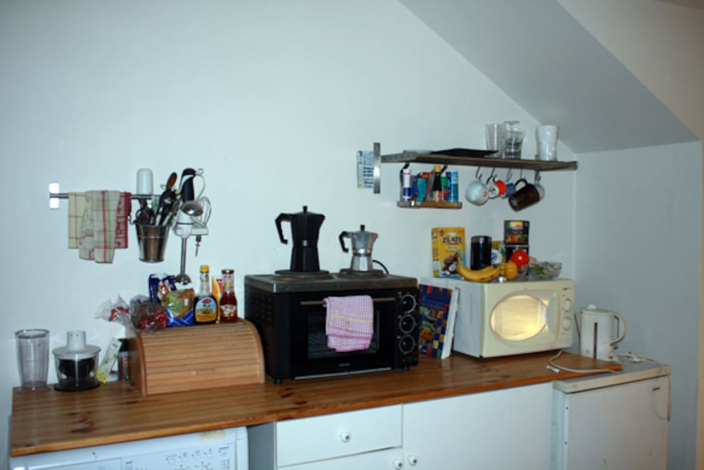Kitchen corner. Mini oven and microwave.