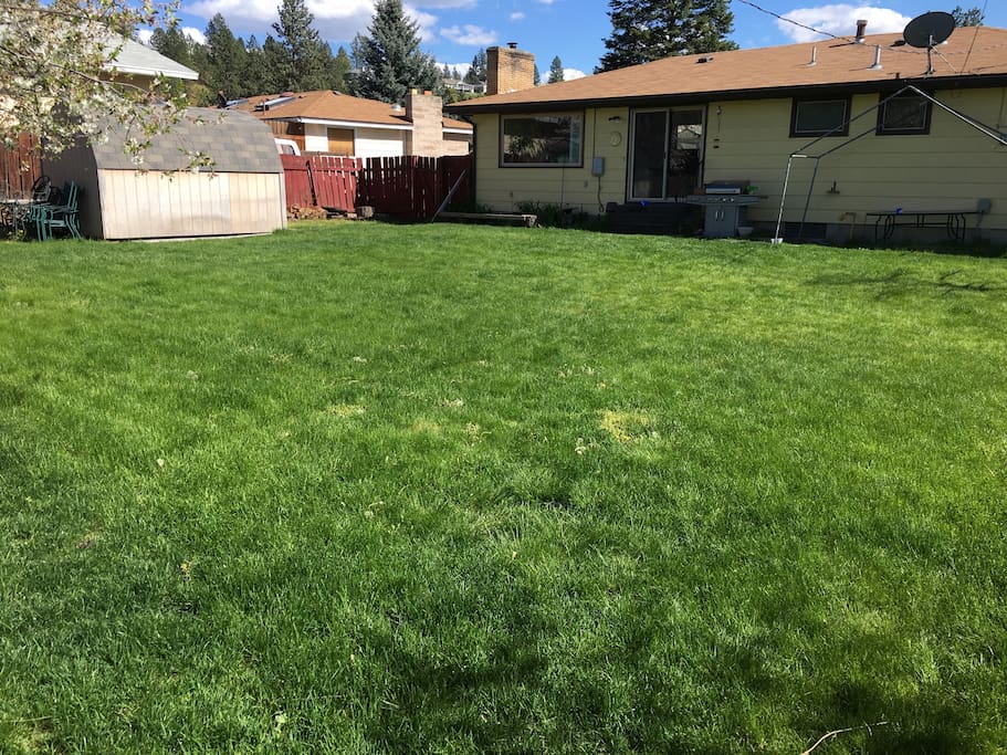 Back yard