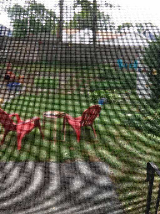 view from the yard