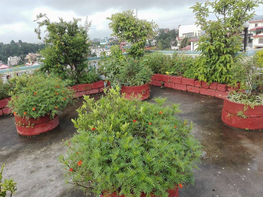 Green roof