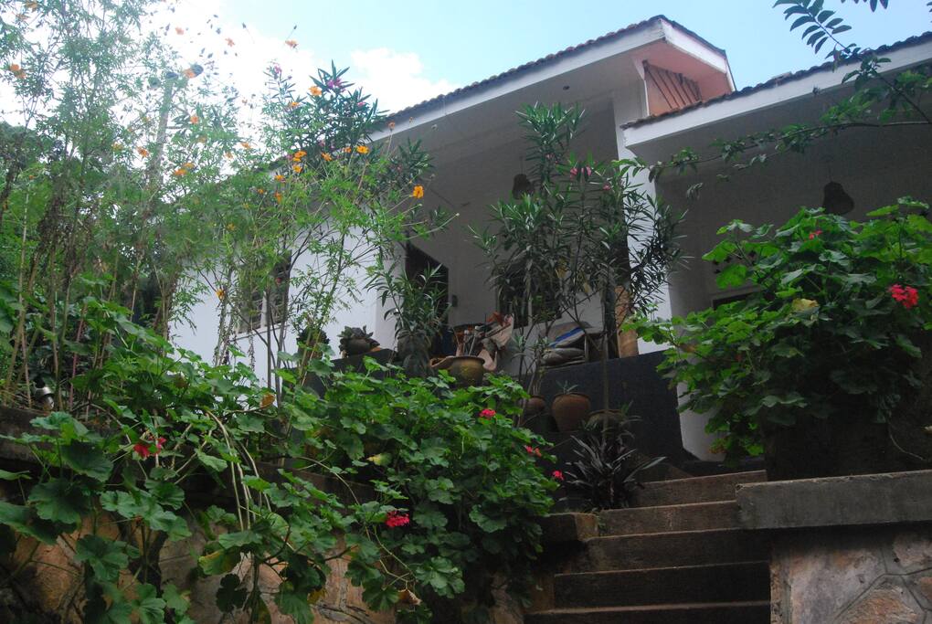 The annexe