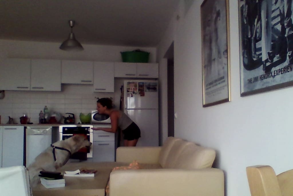 Well that's Me&Bill but you can see part of the space. Will upload better pics later