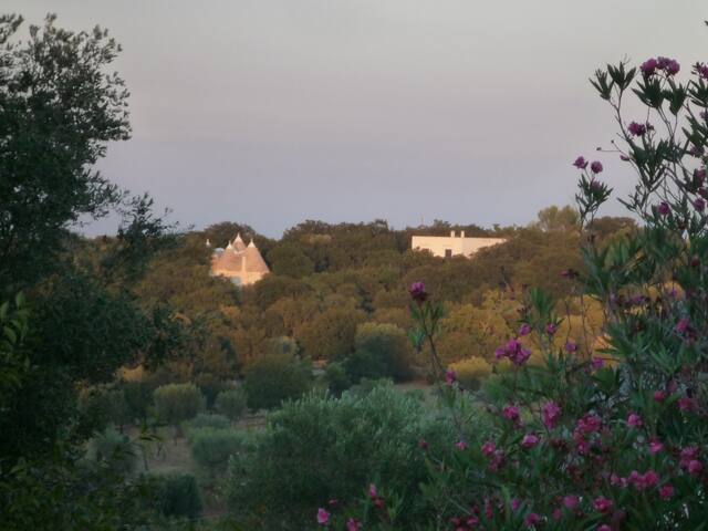Trulli nel verde with pool gallery image 4