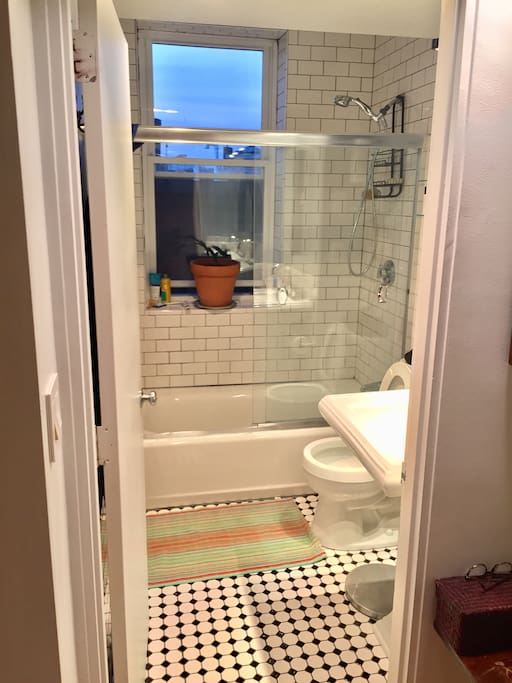 Straight ahead as you walk in is the bathroom. Renovated a couple of years ago with subway tile, kholer sink etc.