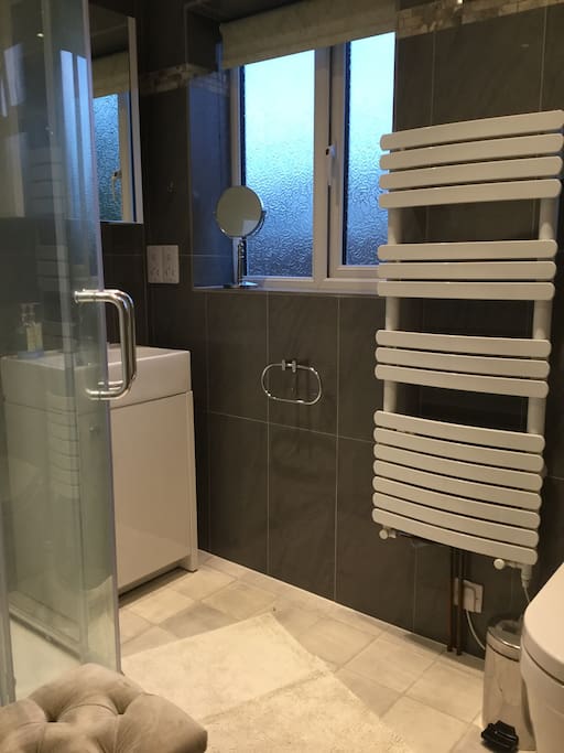 Private Shower room and toilet