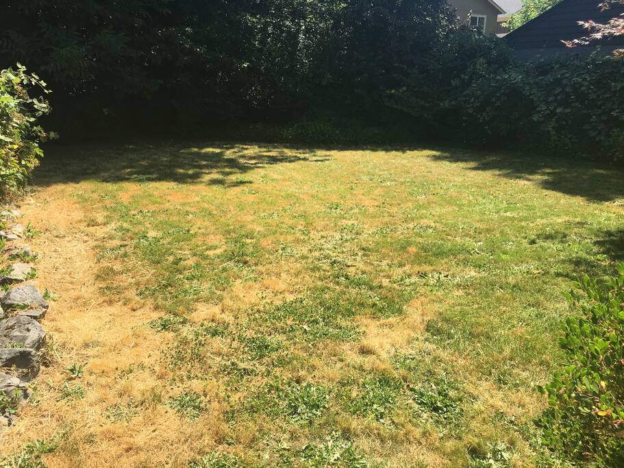 Private, fenced backyard.