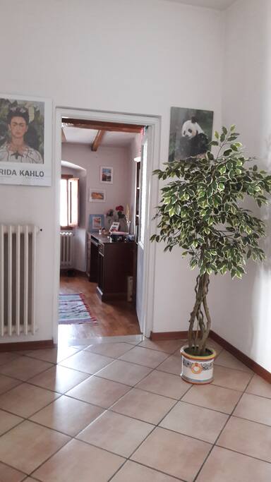 entrance door to your single room