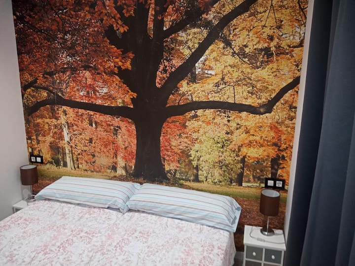 Quarto 2