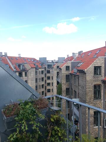 Bohemian Penthouse in the Heart of Chic Vesterbro gallery image 2