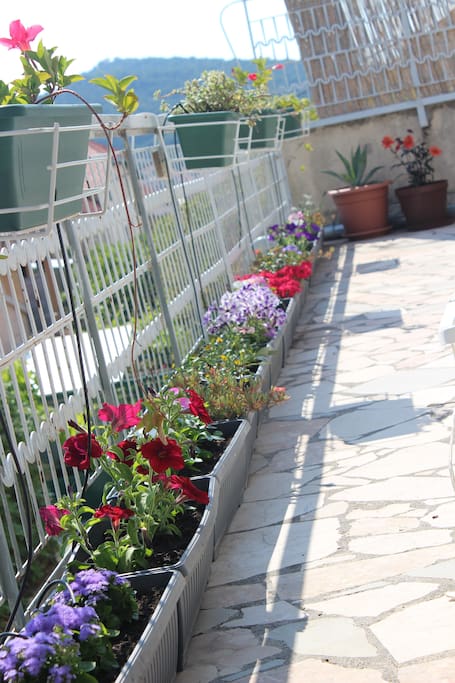 terrace, flowers
