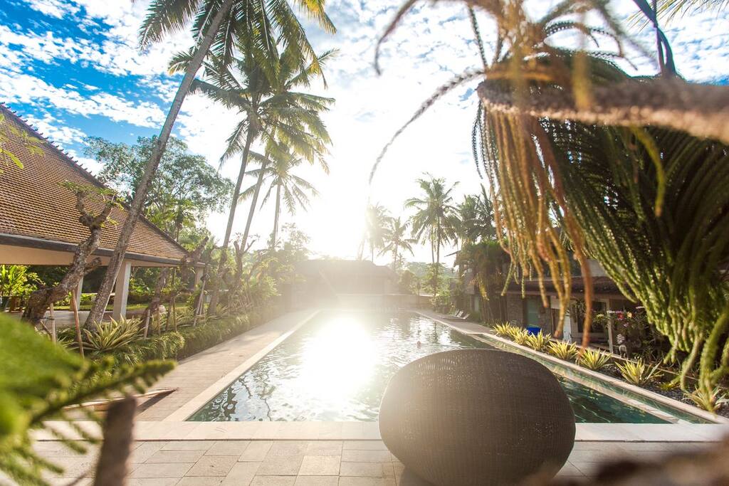 giant 50 m long pool on the compound(shared)