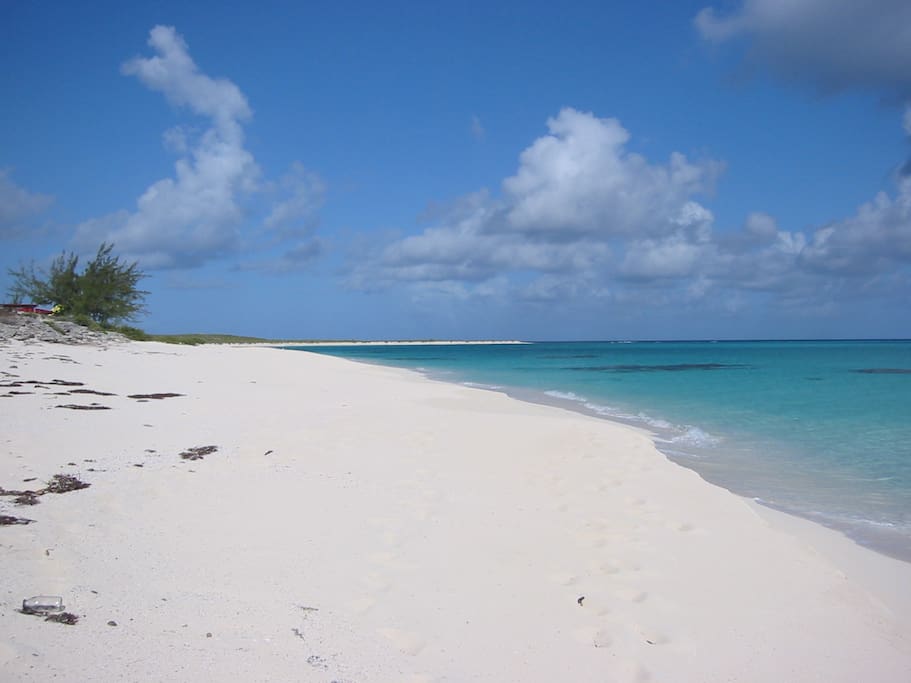 North Beach again (2 miles of it)