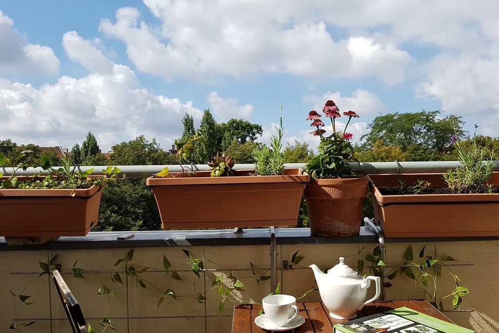Blick vom Balkon