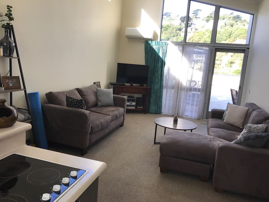 Couch on left folds into a double bed