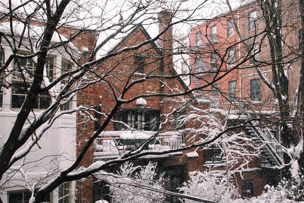 ❄️ View from the patio in the winter ❄️