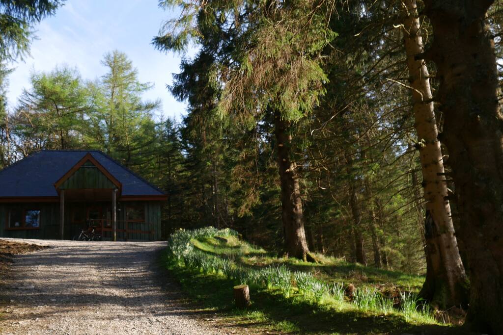 The driveway