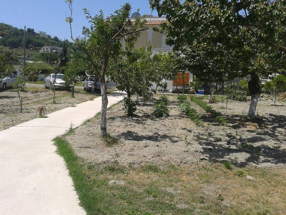 viale in giardino