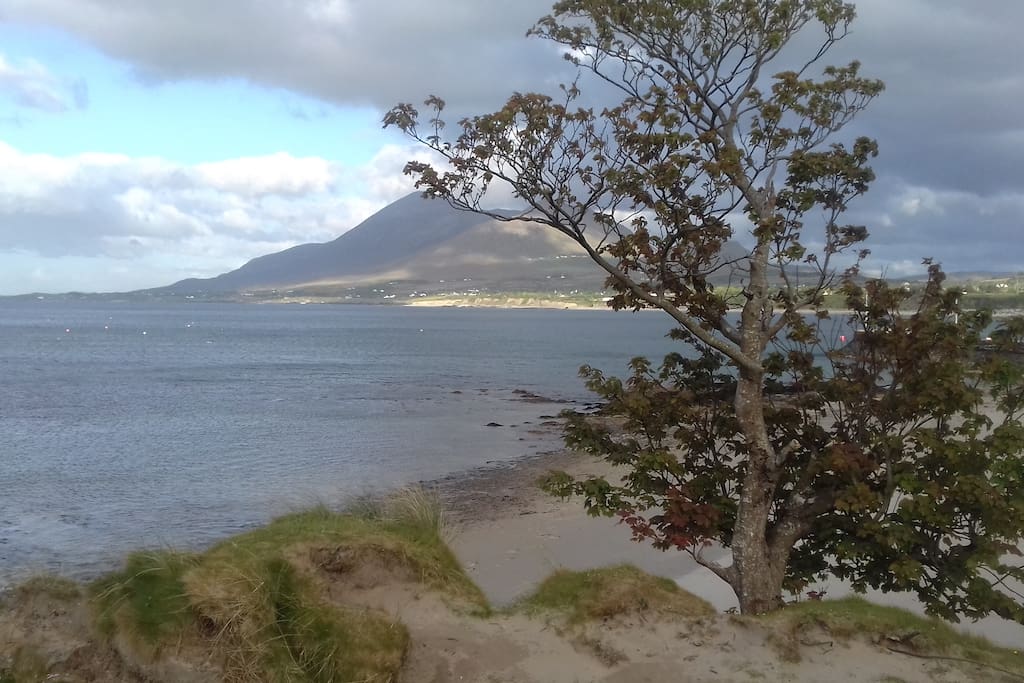 View from the Beach