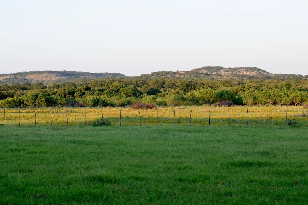Hill Country view from Deep in the Heart Apartment.
