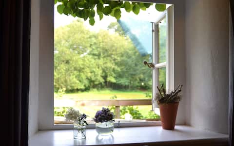 Modernes Landerlebnis - Ammerland - Westerstede