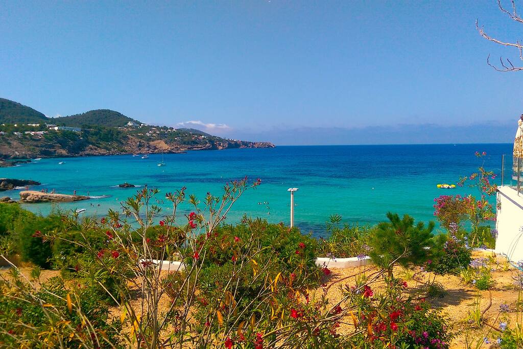 Garden with sea view