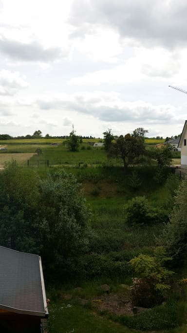 Aussicht ins Grüne im Wohnzimmer