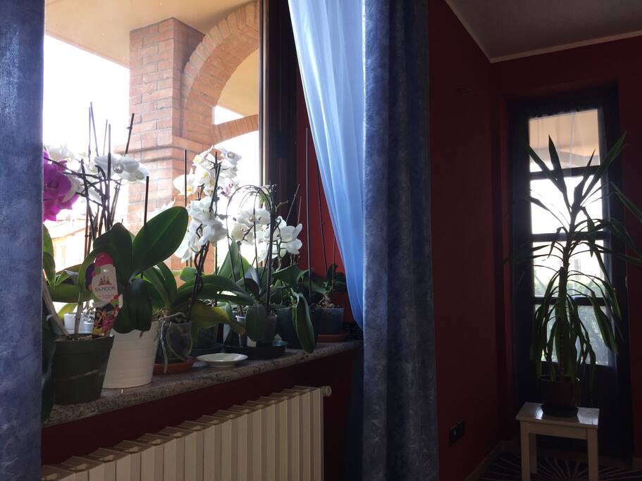 Entrata Appartamento