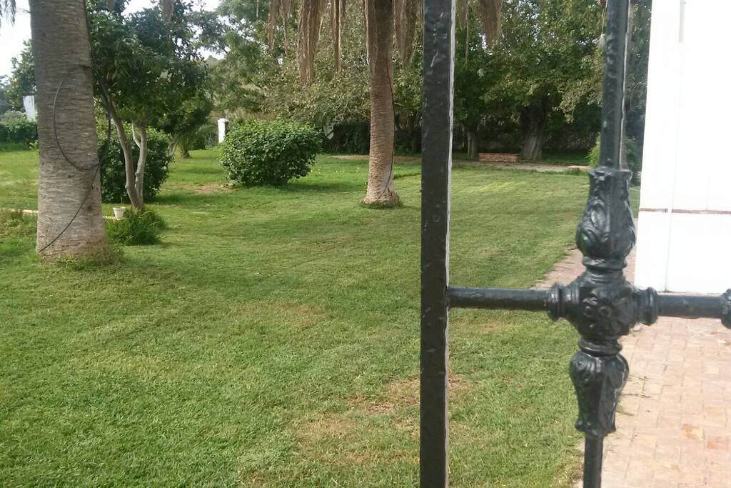 Jardín
