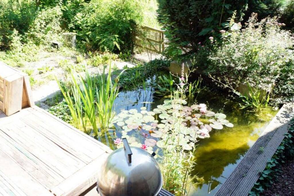 Pond