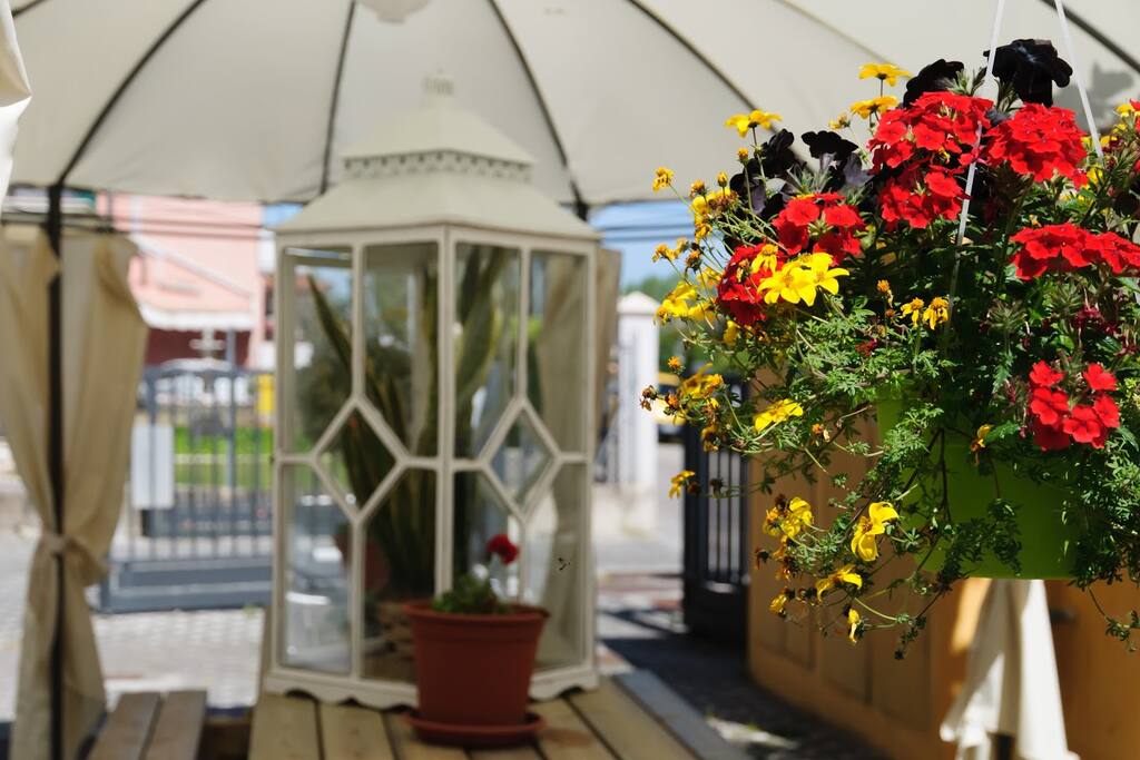 gazebo