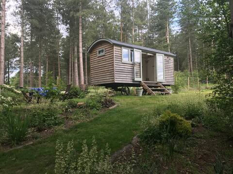 Luxury Blackdown Shepherds Hut in Surrey Hills