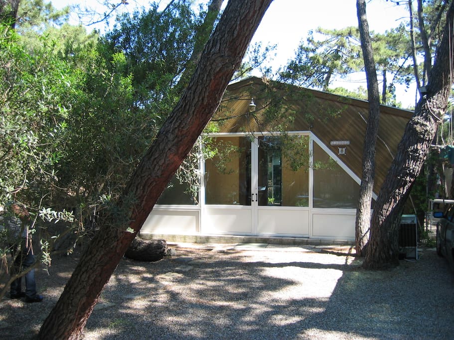 Bungalow "Lucerna" with 800m2 outdoor space