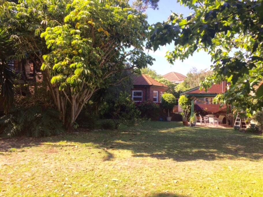 Garden and BBQ area