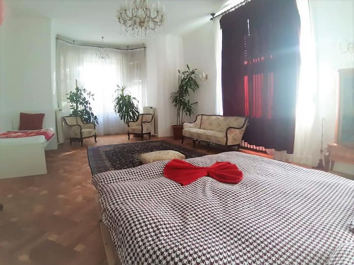 Large Villa Room With Pool And Private Balcony - Praga