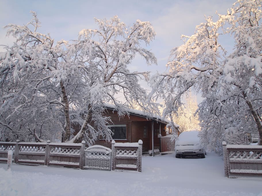 Winter - one snowy day