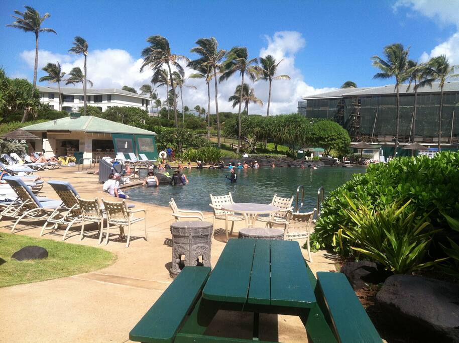 Pool area