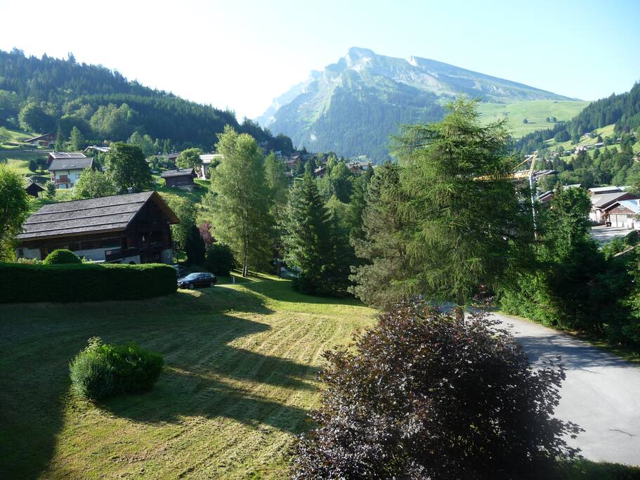 Vue de la terrasse