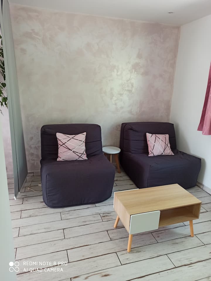 Grand Studio Au Pied Des Pyrénées - Lannemezan