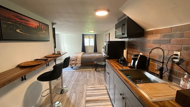 Modern BSMNT Suite W/Jacuzzi Tub