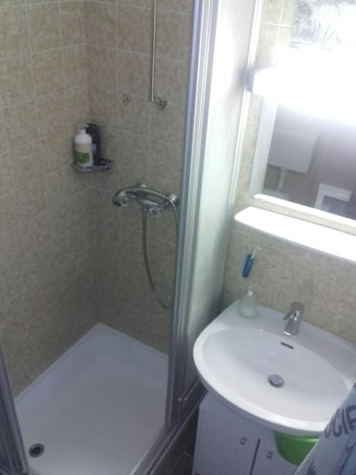 Bathroom: Sink, Shower