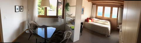 Popular Airbnb listing: Studio Chalet Guxa in Bettmeralp