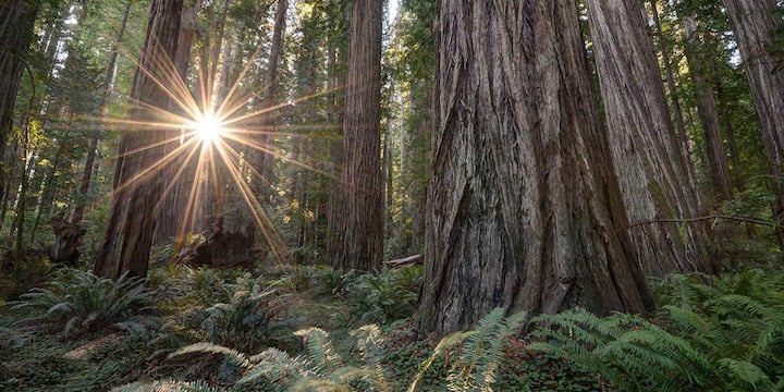 Rio Dell Vacation Rentals & Homes - California, United States | Airbnb Rio Dell Vacation Rentals & Homes - California, United States | Airbnb
