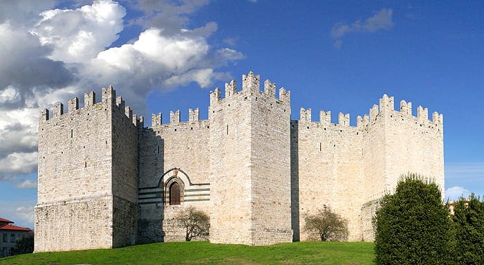 A historic castle structure is depicted, showcasing thick stone walls and a series of battlements. The architecture displays a combination of medieval design elements. Lush grass surrounds the castle, and a few trees are positioned nearby. The sky is partly cloudy, providing a dramatic backdrop.