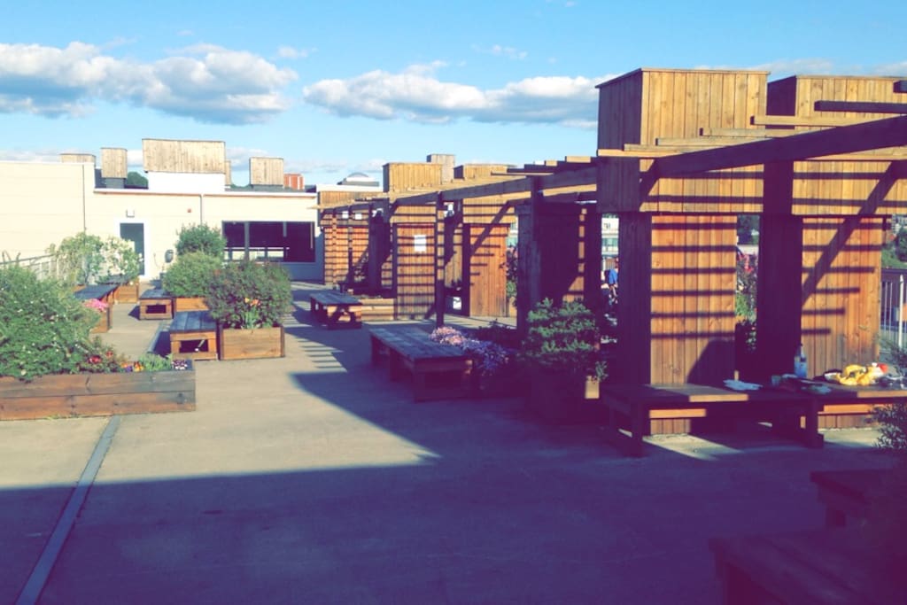 Large nice roof terrace with sun from morning to evening
