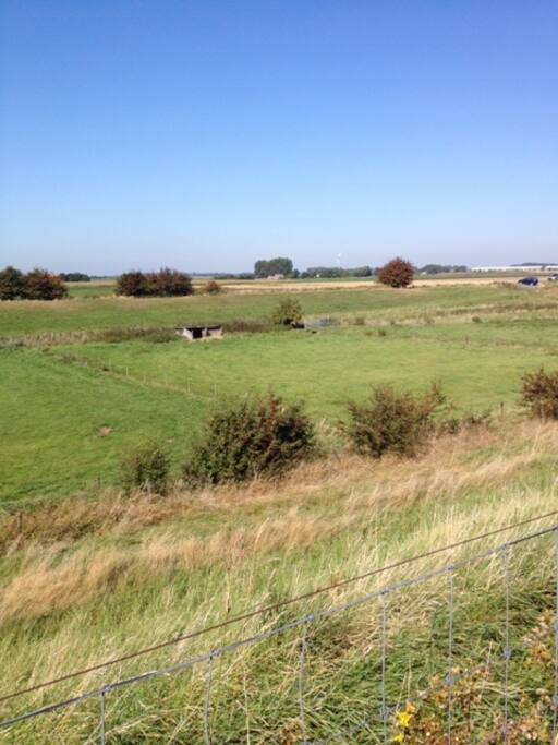 De mooie Zeeuwse polder