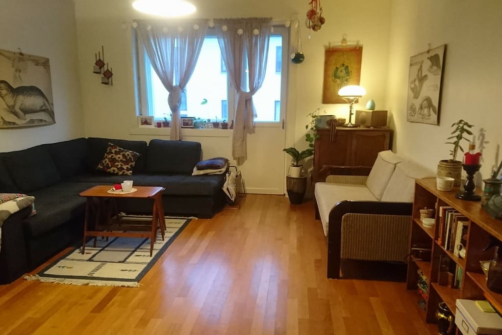 The living room