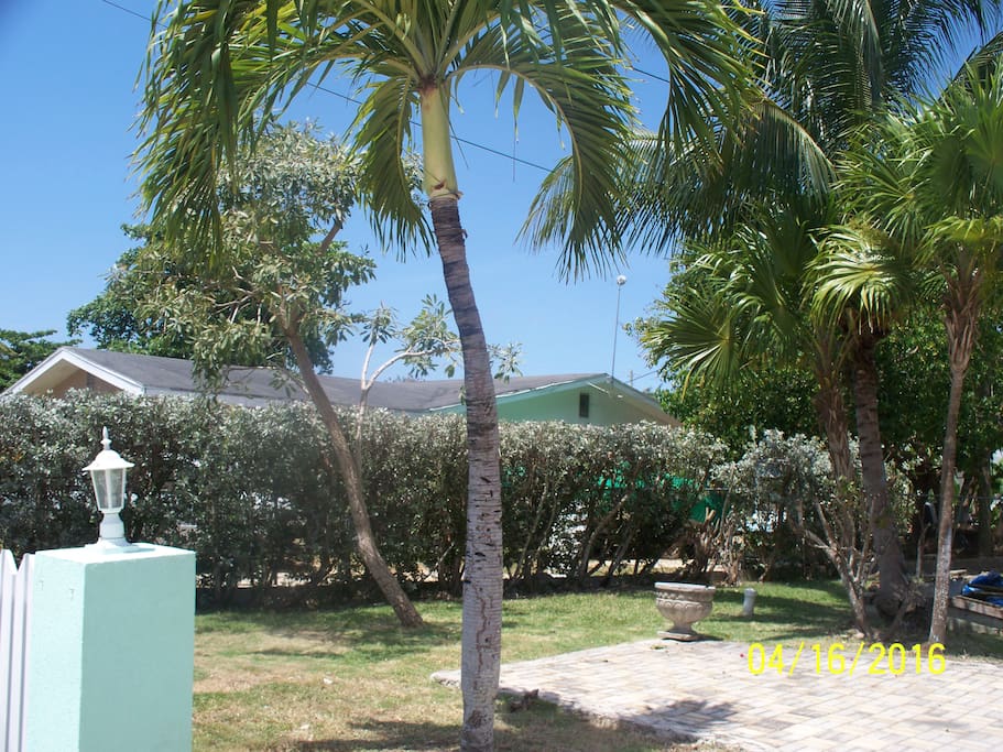 Front yard