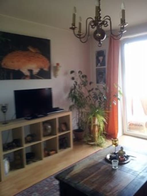 Mit TV und Zugang zum Balkon ins Grüne.
